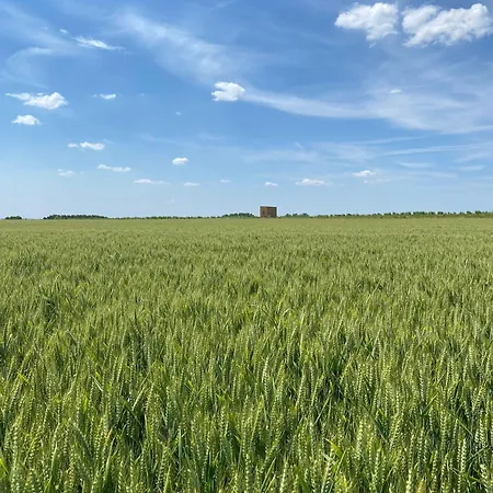La Tiny House De L'ouchette Bregy