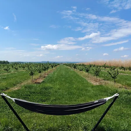 Séjour à la ferme La Tiny House De L'ouchette *