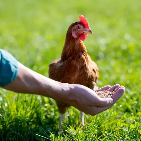 La Tiny House De L'ouchette Séjour à la ferme