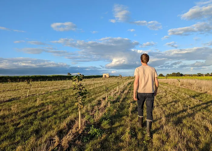La Tiny House De L'ouchette Lantgård
